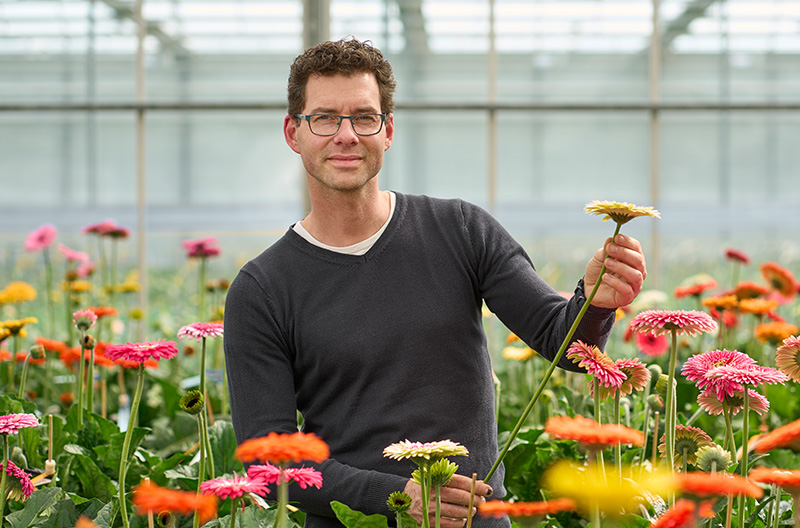 Das Gerbera-Moment von Martin Beers